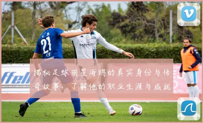 揭秘足球明星海鸥的真实身份与传奇故事，了解他的职业生涯与成就