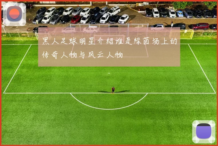 黑人足球明星介绍谁是绿茵场上的传奇人物与风云人物