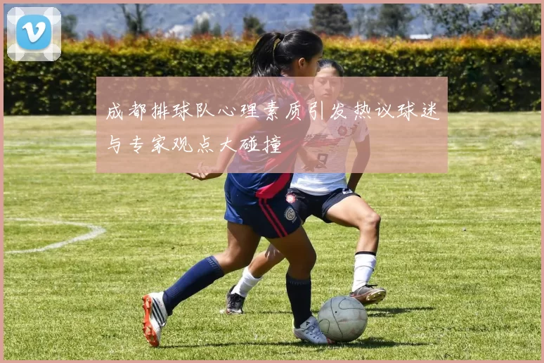 成都排球队心理素质引发热议球迷与专家观点大碰撞