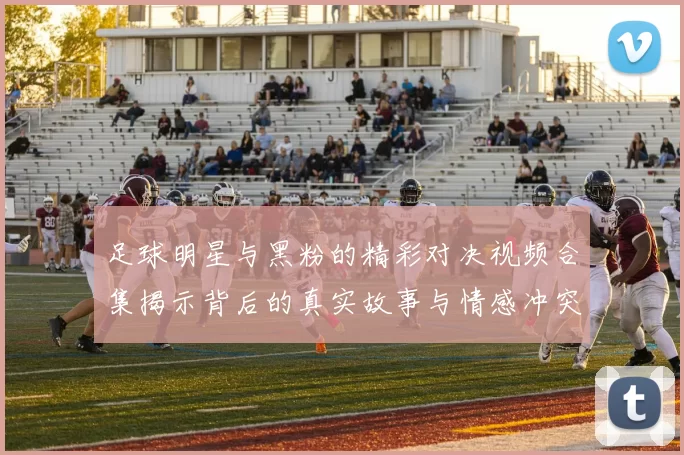 足球明星与黑粉的精彩对决视频合集揭示背后的真实故事与情感冲突