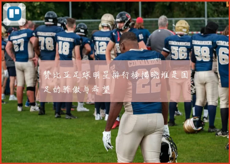 赞比亚足球明星排行榜揭晓谁是国足的骄傲与希望