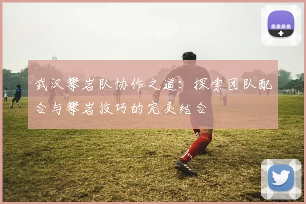 武汉攀岩队协作之道：探索团队配合与攀岩技巧的完美结合