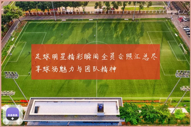 足球明星精彩瞬间全员合照汇总尽享球场魅力与团队精神
