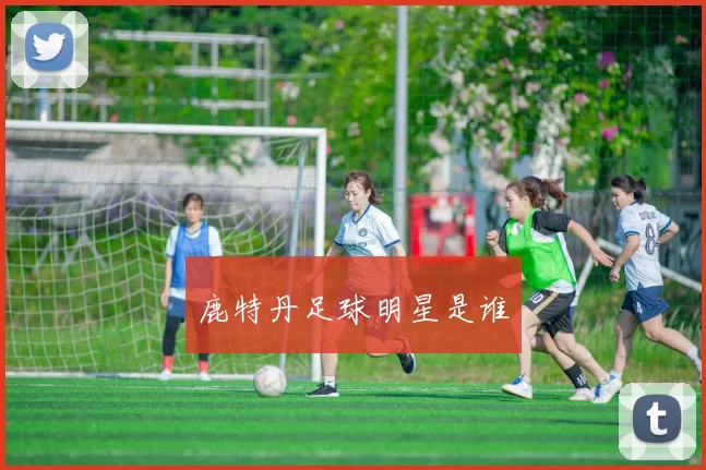 鹿特丹足球明星是谁