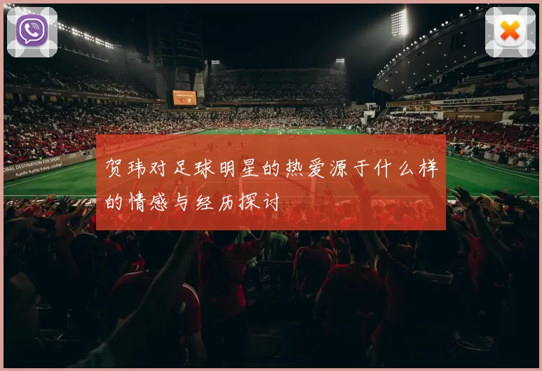 贺玮对足球明星的热爱源于什么样的情感与经历探讨