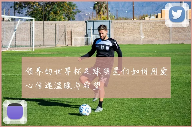 领养的世界杯足球明星们如何用爱心传递温暖与希望