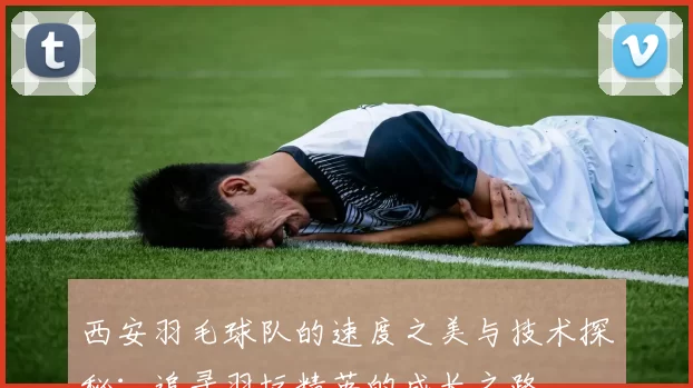 西安羽毛球队的速度之美与技术探秘：追寻羽坛精英的成长之路