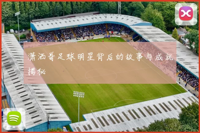 潇洒哥足球明星背后的故事与成就揭秘
