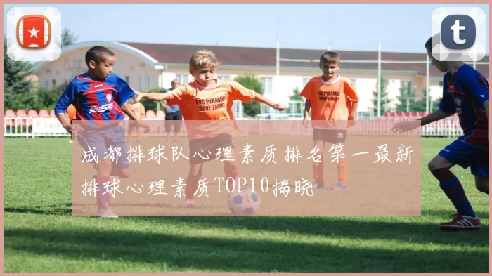 成都排球队心理素质排名第一最新排球心理素质TOP10揭晓