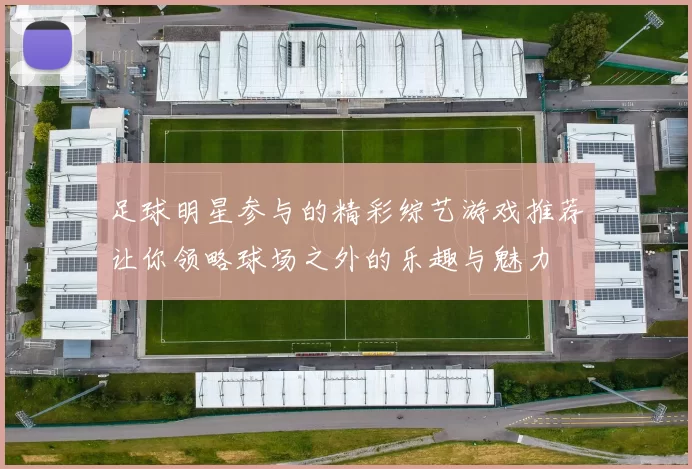 足球明星参与的精彩综艺游戏推荐让你领略球场之外的乐趣与魅力