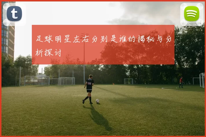 足球明星左右分别是谁的揭秘与分析探讨