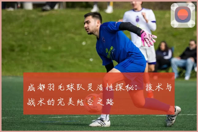 成都羽毛球队灵活性探秘：技术与战术的完美结合之路