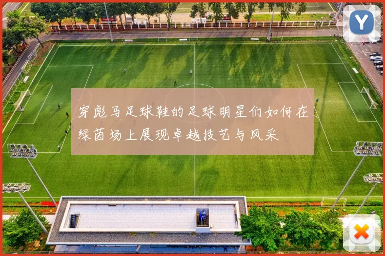 穿彪马足球鞋的足球明星们如何在绿茵场上展现卓越技艺与风采