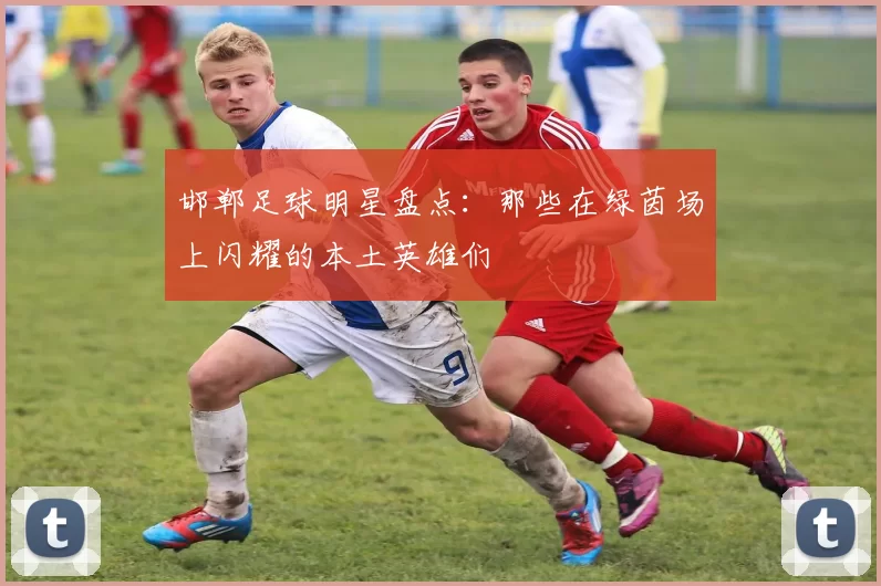 邯郸足球明星盘点：那些在绿茵场上闪耀的本土英雄们