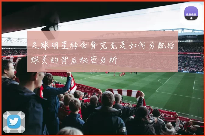 足球明星转会费究竟是如何分配给球员的背后秘密分析
