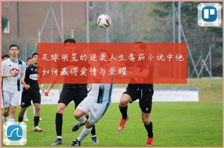 足球明星的逆袭人生番茄小说中他如何赢得爱情与荣耀