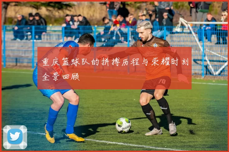 重庆篮球队的拼搏历程与荣耀时刻全景回顾