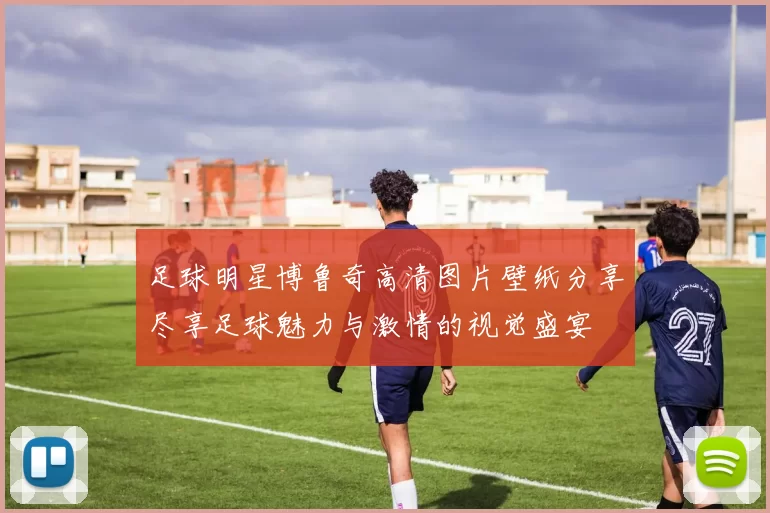 足球明星博鲁奇高清图片壁纸分享尽享足球魅力与激情的视觉盛宴